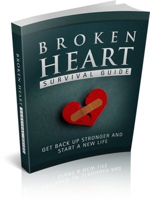 cover image of Broken Heart Survival Guide